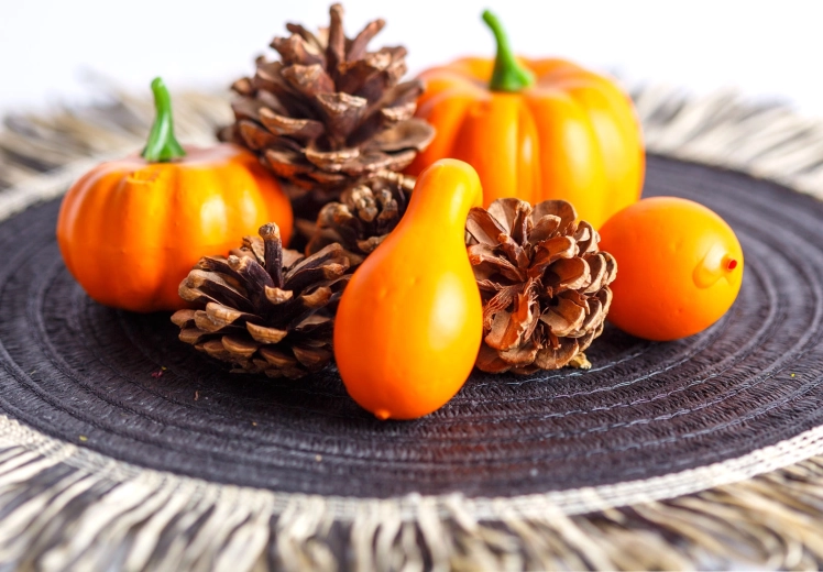 Autumn Decorative Set of Pumpkins and Pinecones, 9 Pieces