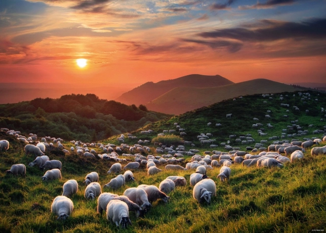 Puzzle 1000 Pieces Sheep and Volcanoes