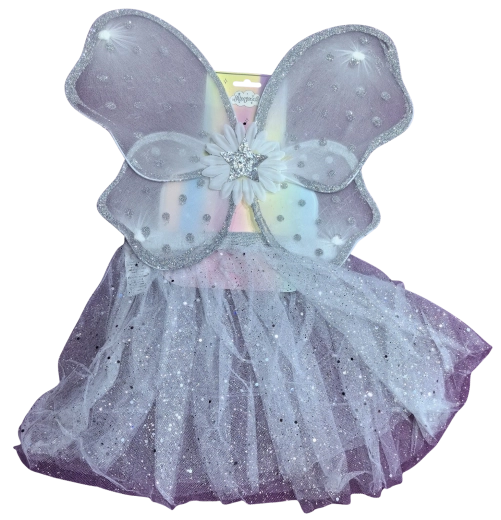 Fairy costume with silver wings and a white tutu skirt