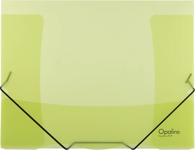 OPALINE elasticated folder green A4