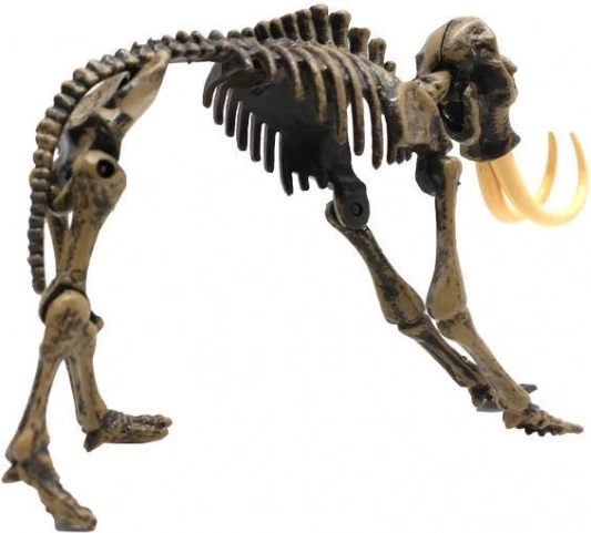 Display Model on a Stand