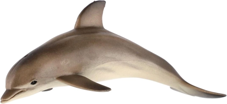 For young ocean explorers