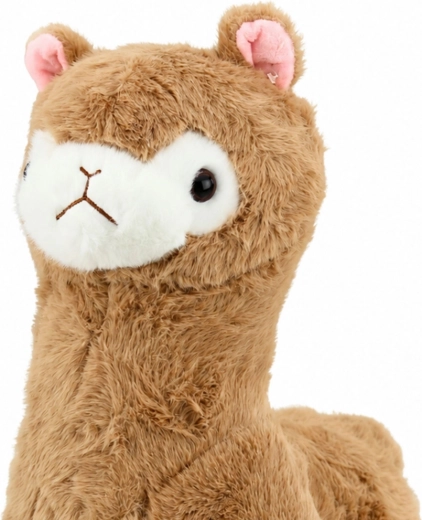 Cute details kids will love