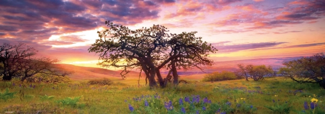 Панорамен пъзел „Дъб“, Columbia Hills State Park, 2000 части