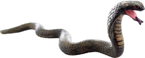 Plastic Snake – Realistic Toy for Kids