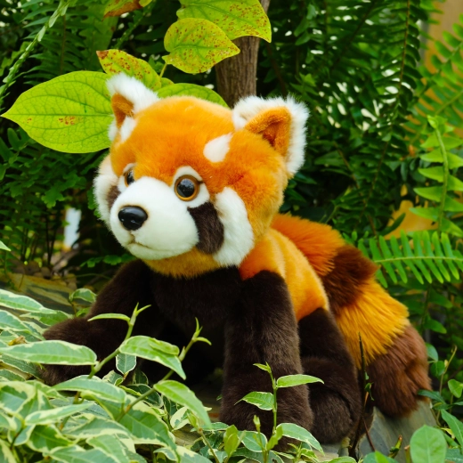 Реалистични детайли на червената панда