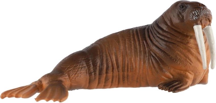 Realistic walrus appearance