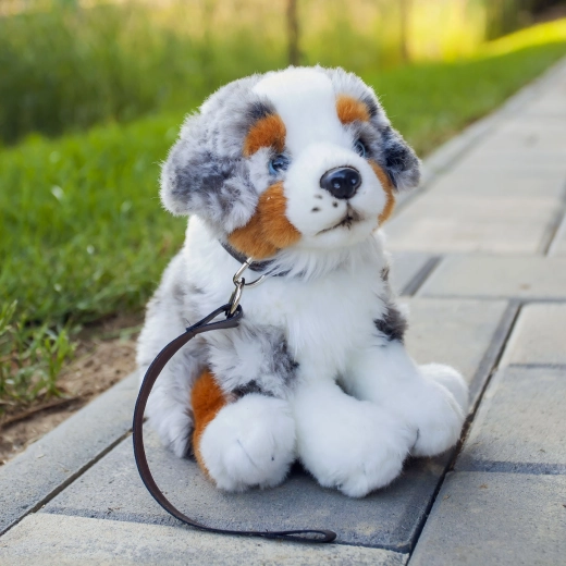 Companion for cuddling and play