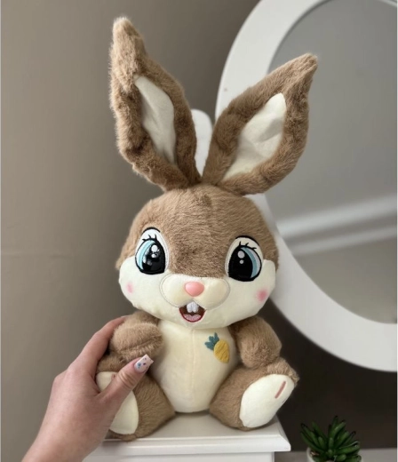 Soft plush friend