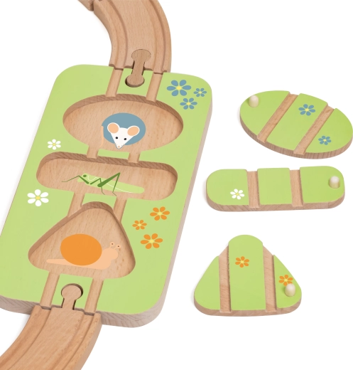 Montessori shape sorter