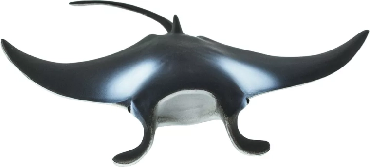 Ideal size for a child’s hand and for a collection