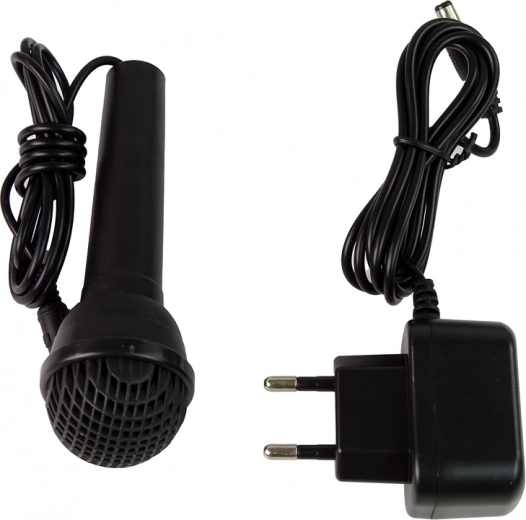 Микрофон и LED светлини за повече забавление