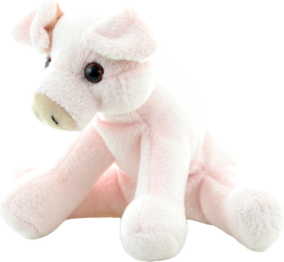 Compact 14 cm size