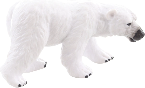 Ideal for collections and display