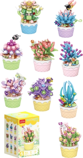 Florist сукуленти в декоративни саксии (9 вида) - 1 брой
