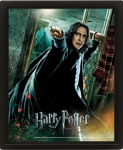 3D Picture HARRY POTTER – Severus Snape