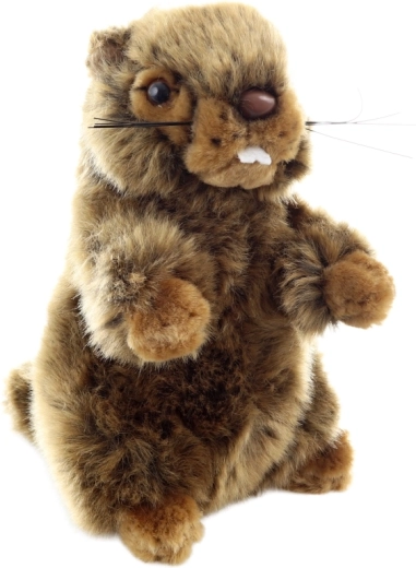 Безопасен от раждането