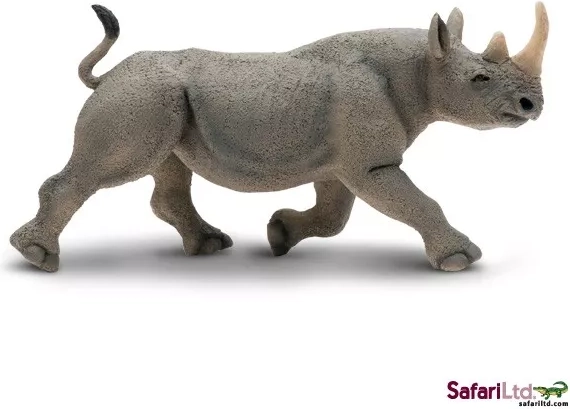 Two-horned rhinoceros