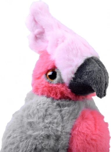 Идеален размер за път