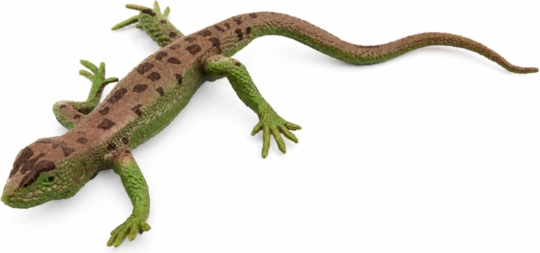 Realistic details and natural coloring