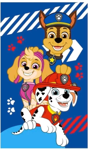 Paw Patrol Towel
