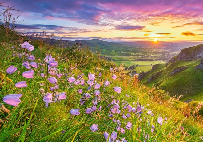 Пъзел Harebells at Sunrise 500 части