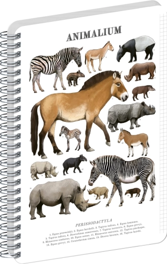 Notique spiral notebook Animalium – Odd-toed ungulates, A4, squared