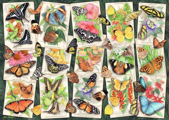 Puzzle RAVENSBURGER Tropical Butterflies 1000 pieces