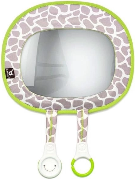 Car Mirror with Organizer