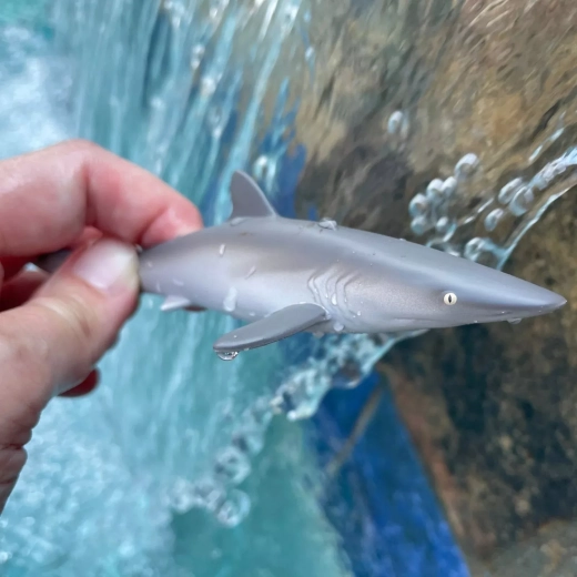 Ideal for travel and play near water