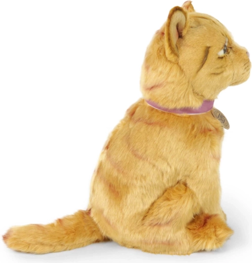 Adorable sitting tabby cat