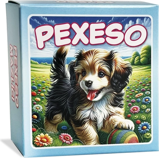 Pexeso Pets in Blue Box