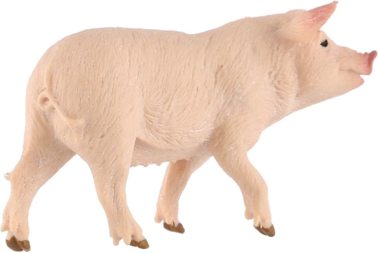 10 cm model