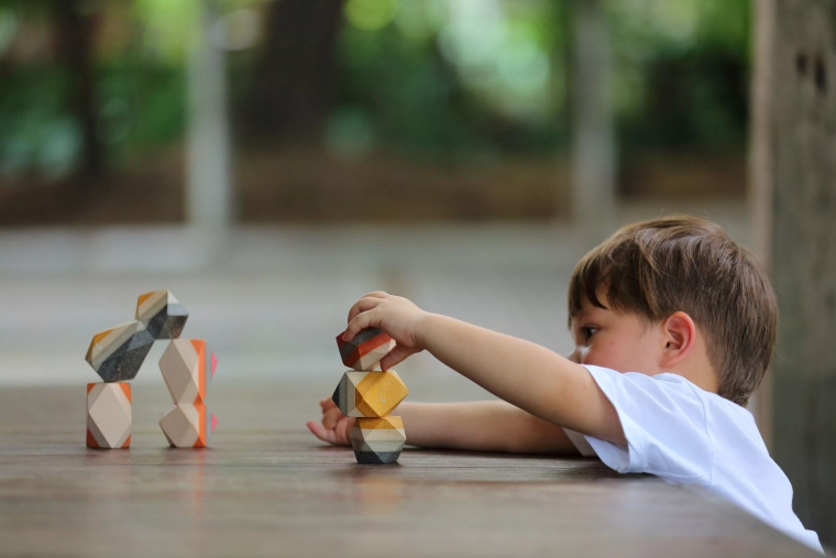 Eco-friendly PlanToys quality