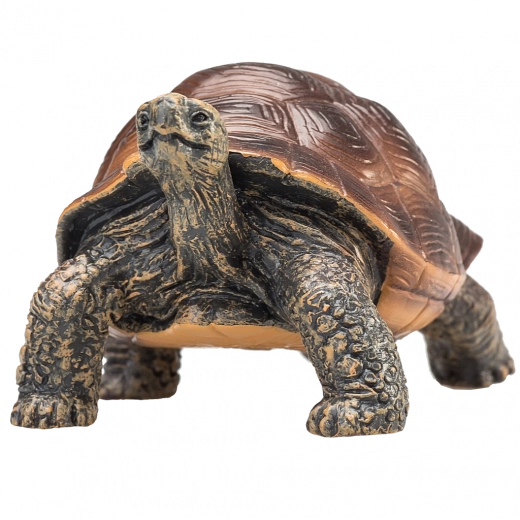 Mojo figure giant tortoise – realistic animal figure