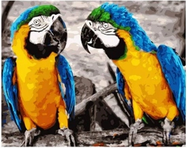 Диамантено рисуване Папагали 30 × 40 см