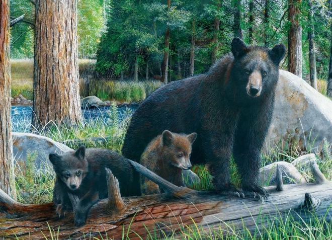 Eurographics puzzle New Discoveries 1000 pieces
