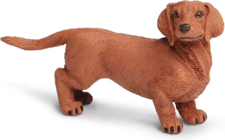 Safari Ltd. Dachshund