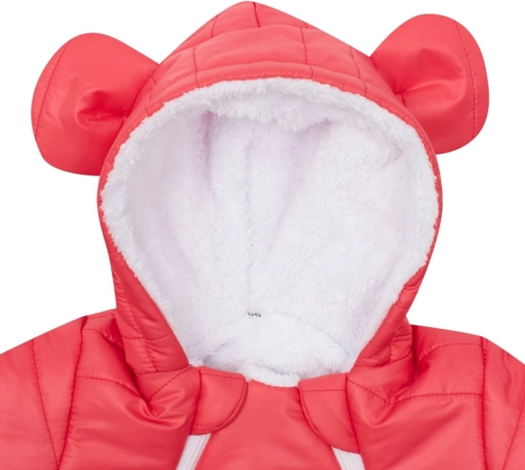 Adorable hood with ears