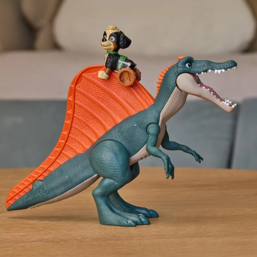Rex slides down its back