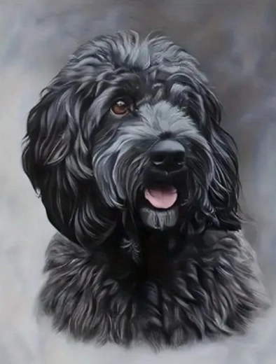 Диамантено рисуване – черно Cockapoo 30 × 40 см
