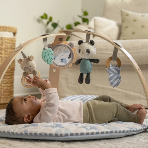 Three play modes from birth