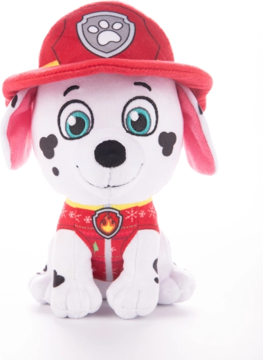 Автентични детайли на пожарникар