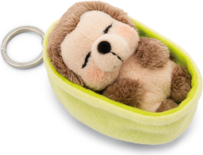 Adorable sleeping hedgehog always at hand