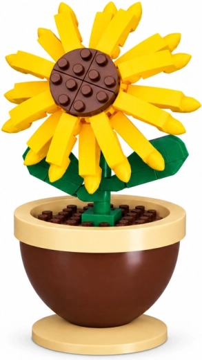 Striking sunflower in a pot