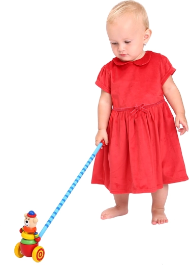 Toy for first steps