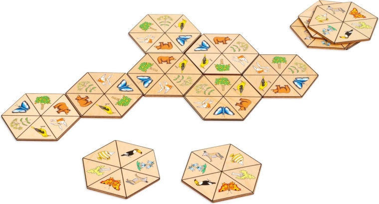 Toys for Life hexagonal domino nature