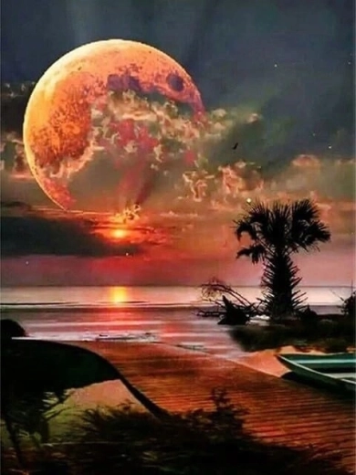 Norimpex Paint by Numbers Moon Over the Shore 40 × 50 cm
