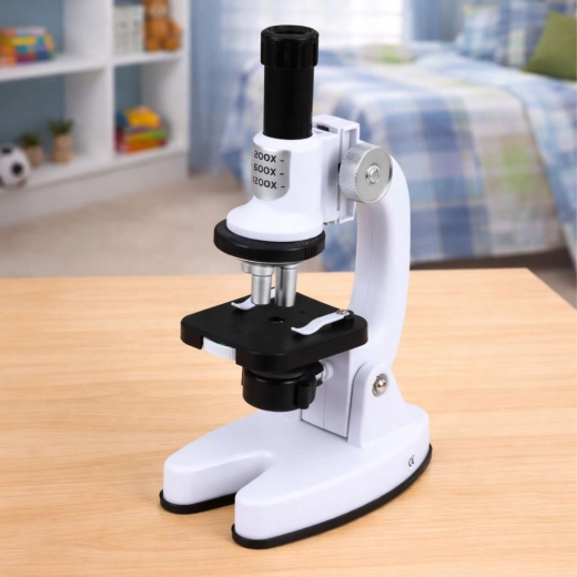 Three magnification levels for every discovery