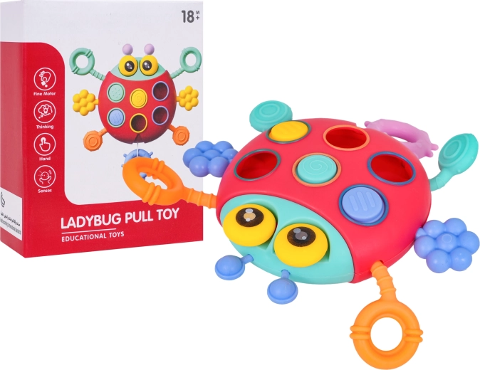 Multifunctional sensory ladybug for toddlers